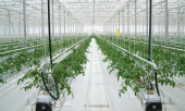 Агротекстиль Agrojutex белый 130г/м2 - 1.65x100м
